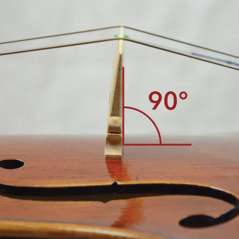 How to Spot (and Solve) String Instrument Problems Before They Start