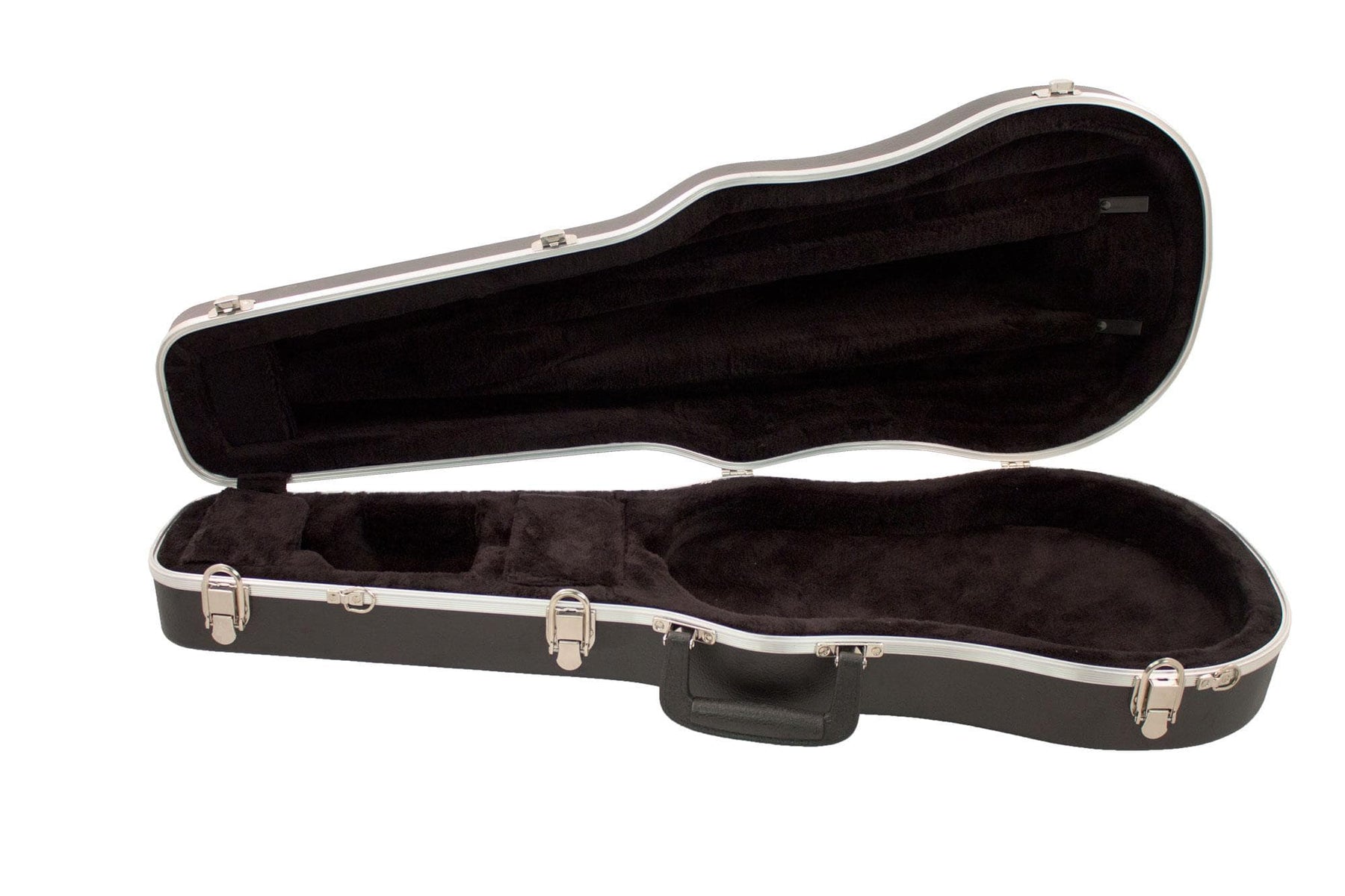 Thermoplastic Viola Case