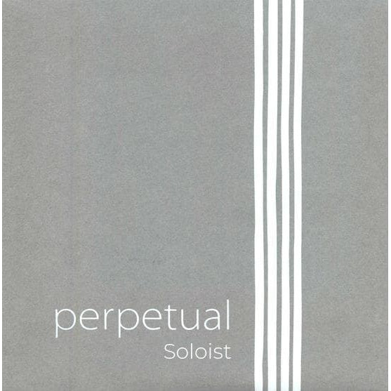Pirastro Perpetual Soloist Cello C-String - 4/4 Size - Medium Gauge