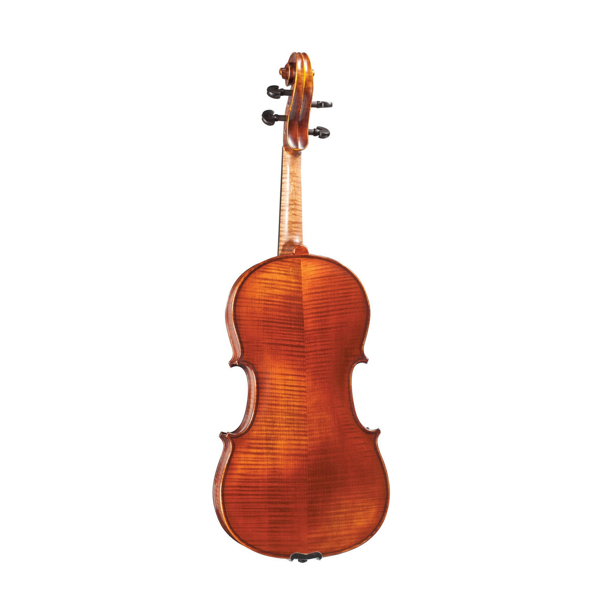 Otto Ernst Fischer® Bianca Viola