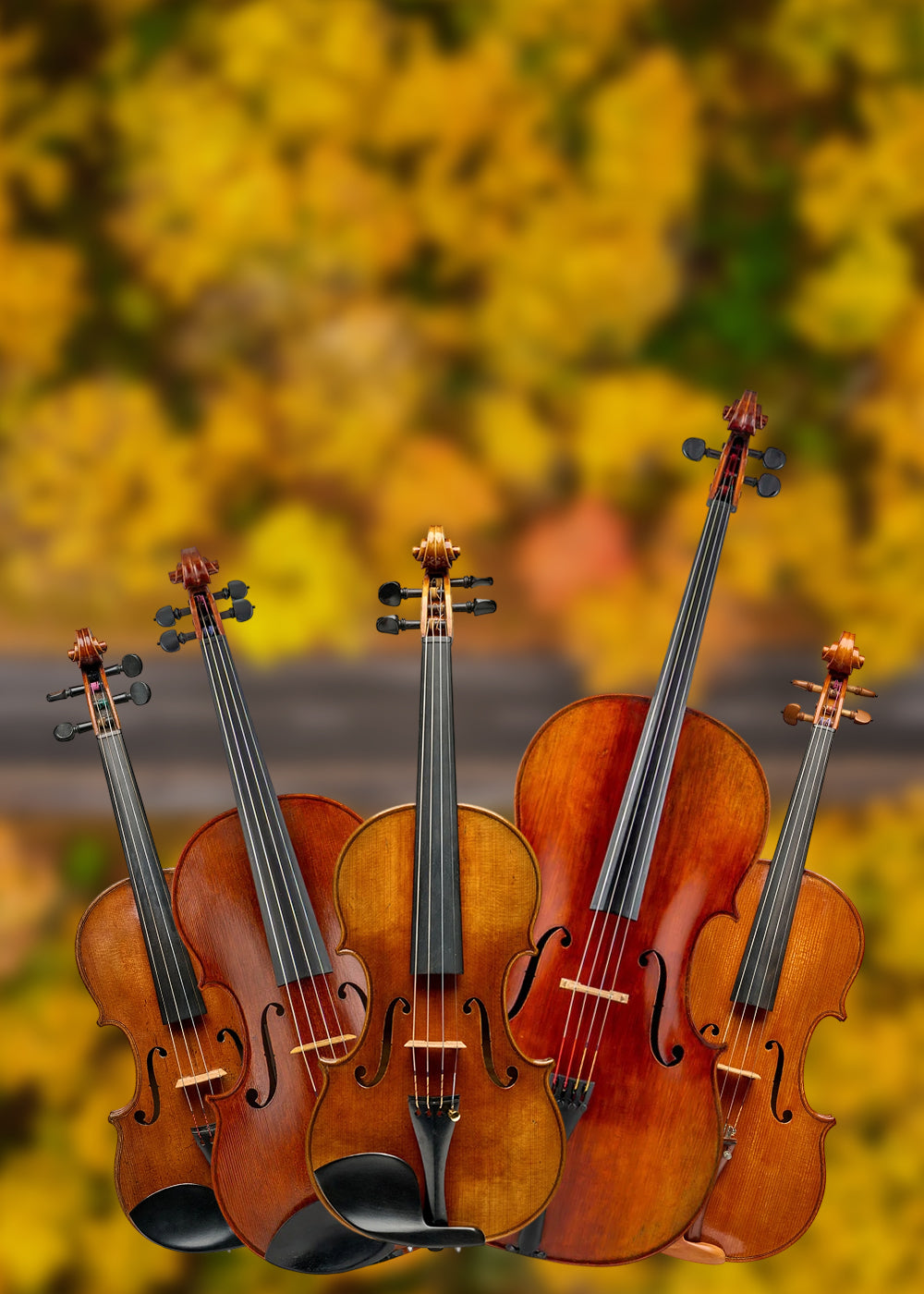 mobile slider banner