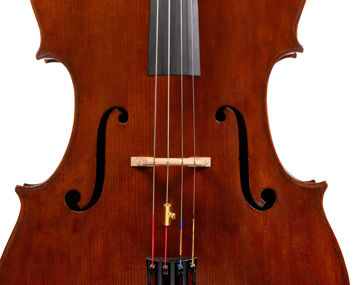 Marilyn Wallin Cello, Boston, 2009