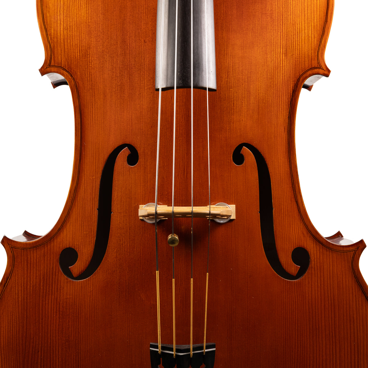 Otto Ernst Fischer® Bianca Bass