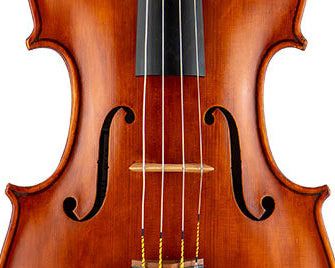 Geoffrey Ovington Viola, New York, 1984, 16