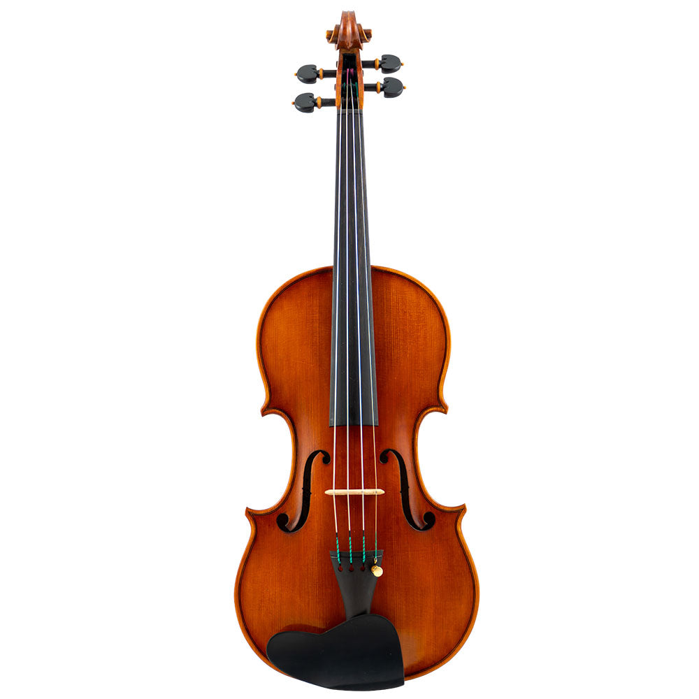 Ali Hosseini Violin, Hamedan, 2018