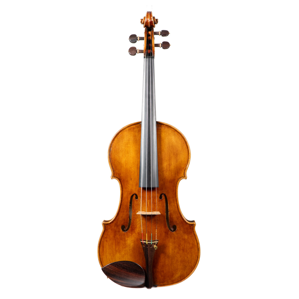 Martin Cruz Aragon Viola, Queretaro, 2025, 15 1/2"