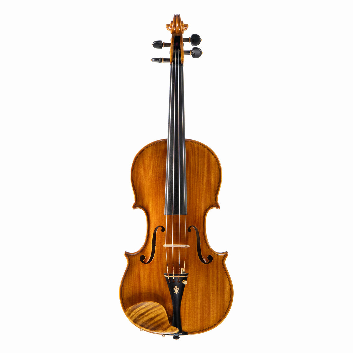 Ali Hosseini Violin, Hamedan, 2025