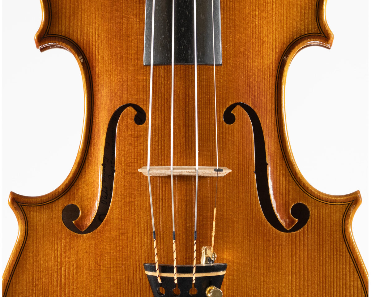 Ali Hosseini Violin, Hamedan, 2025