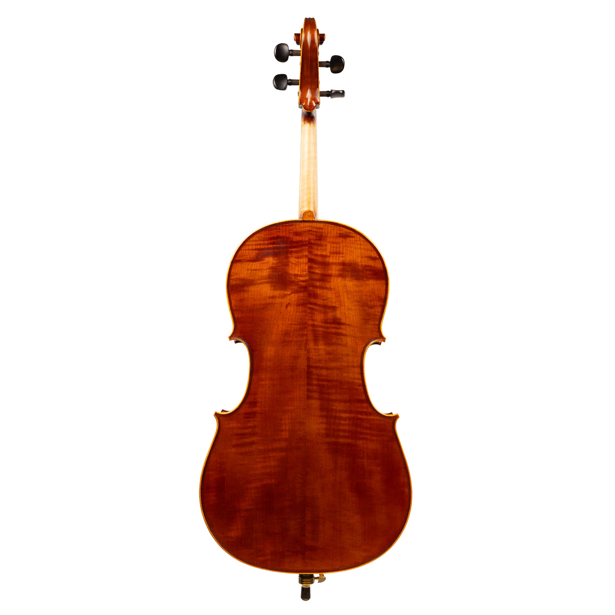 Back view of a Franz Hoffmann Prelude Carved beginner cello with spruce top, maple back, ebony fingerboard, ebony pegs, and metal endpin