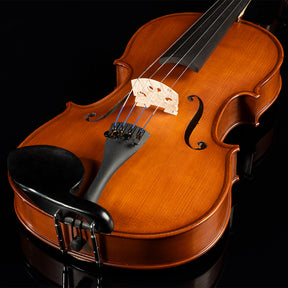 Franz Hoffmann Danube Viola Starter Kit