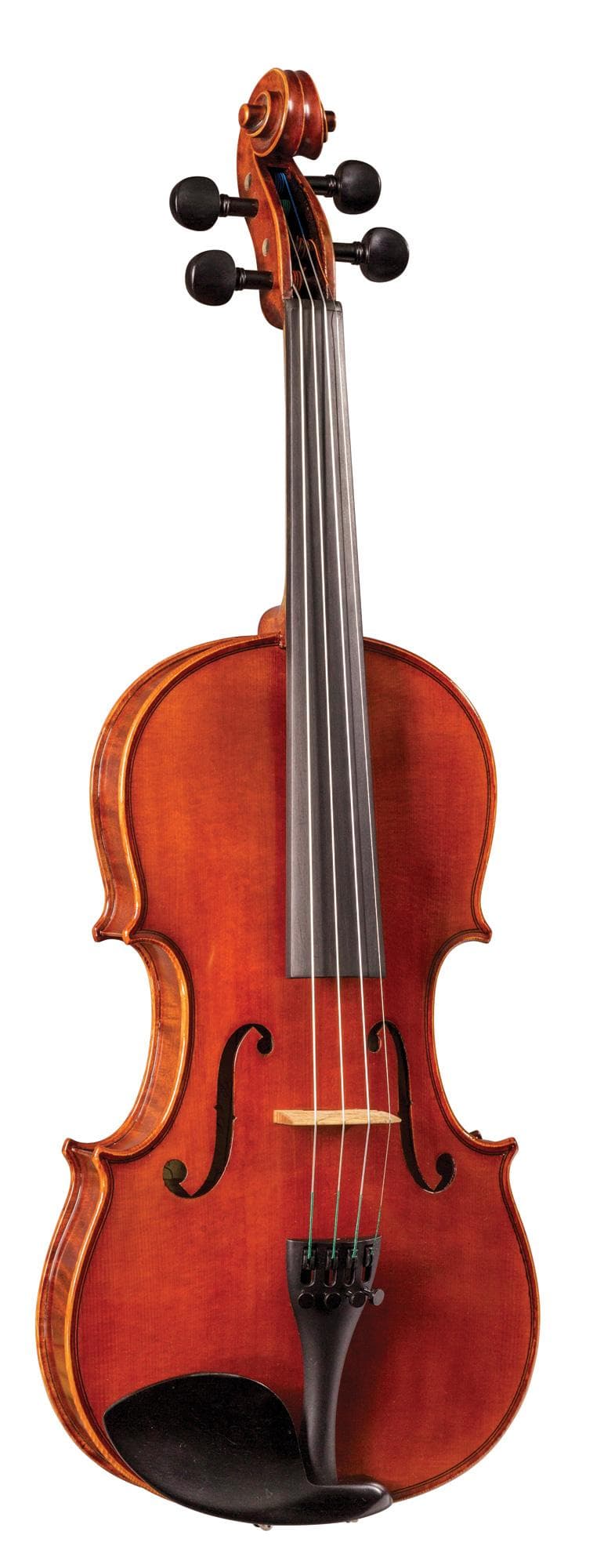 SharWay Deluxe Violin Outfit