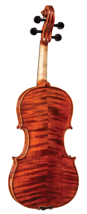 SharWay Deluxe Violin Outfit