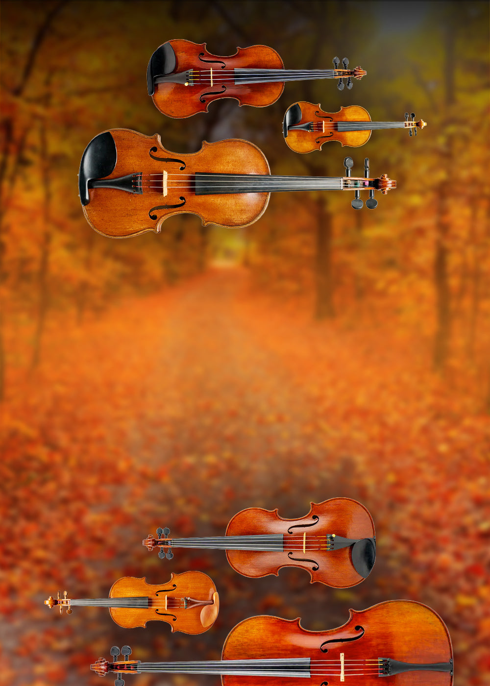 mobile slider banner