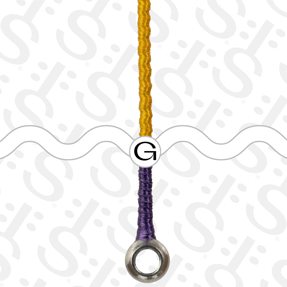 Thomastik-Infeld Peter Infeld (PI) Violin G-String - 4/4 Size - Medium Gauge