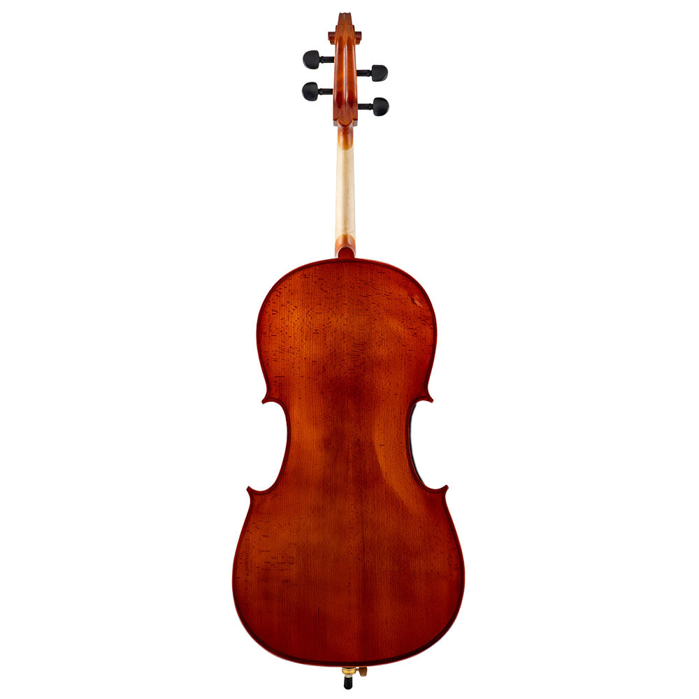 Back view of a Franz Hoffmann Amadeus Laminate beginner cello with laminate top, sides, and back, ebony fingerboard, ebony pegs, and metal endpin
