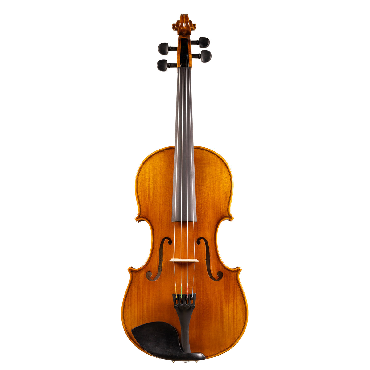 Front view of a Franz Hoffmann Concert beginner viola with spruce top, maple back, ebony fingerboard, pegs, and chinrest