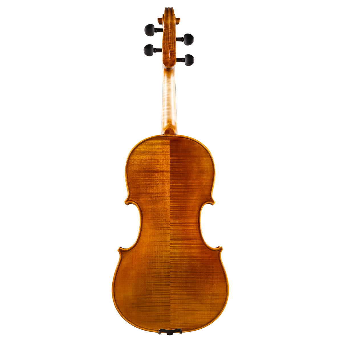 Back view of a Franz Hoffmann Concert beginner viola with spruce top, maple back, ebony fingerboard, pegs, and chinrest