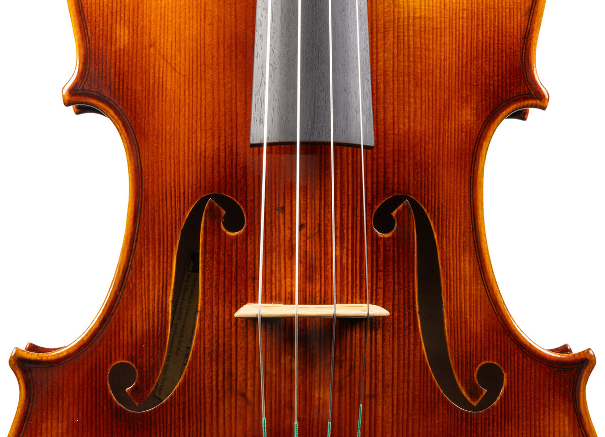 Carlo Lamberti® Tertis Viola