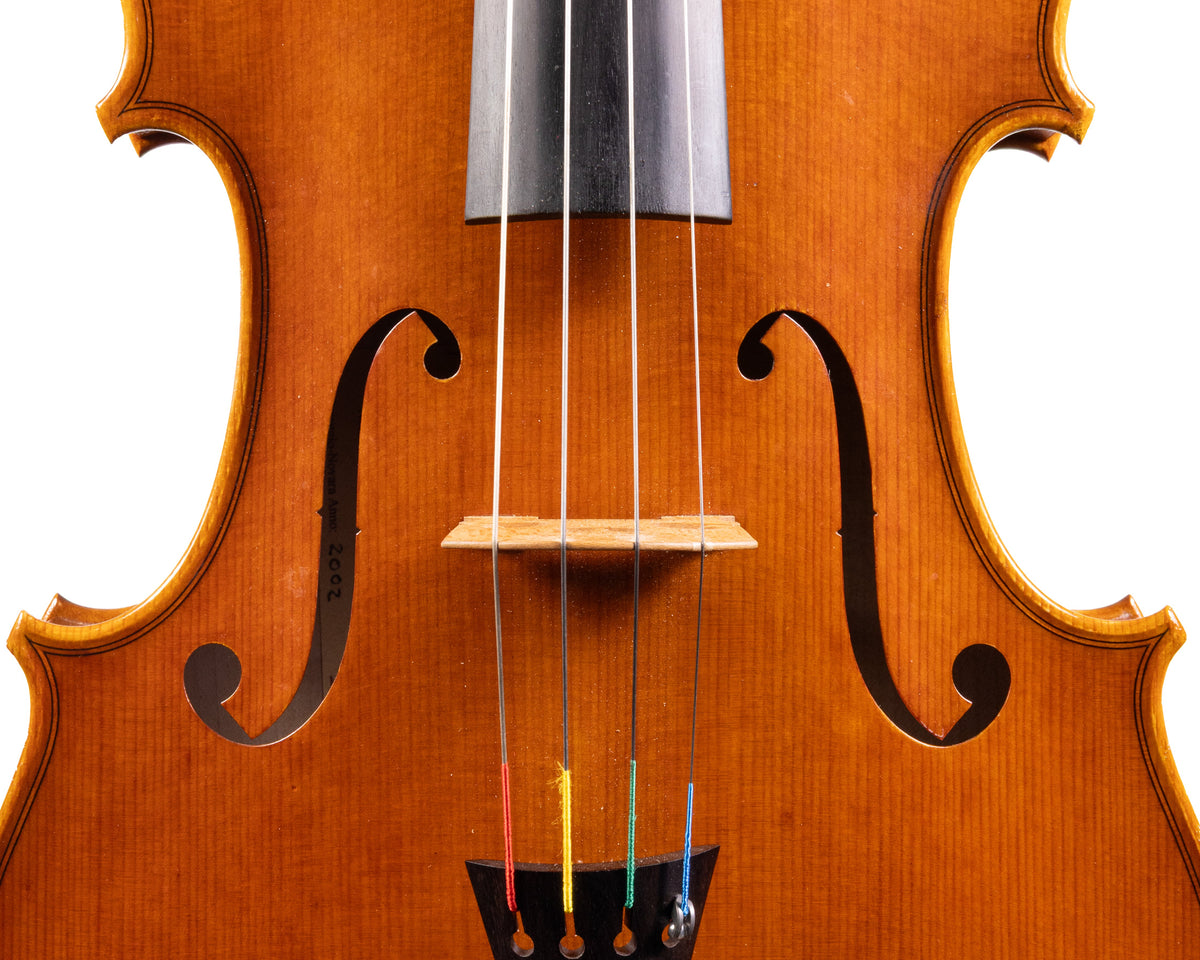 Guido Brancalion Viola, Cureggio, 2002, 16 1/4