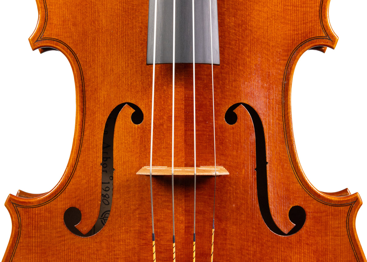 David Burgess Viola, Ann Arbor, 1980, 16.5