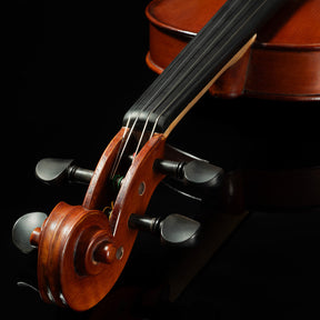 Franz Hoffmann Danube Violin Starter Kit