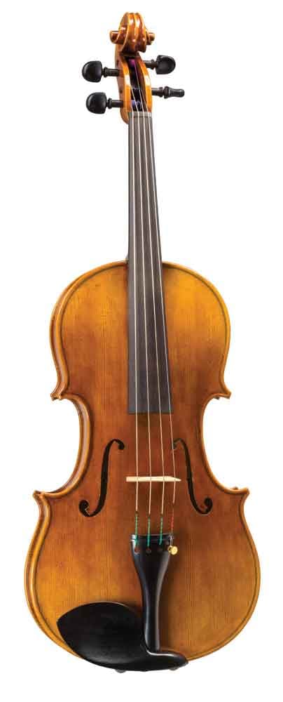 Blemished Scrollavezza & Zanre Viola, Italy, 16