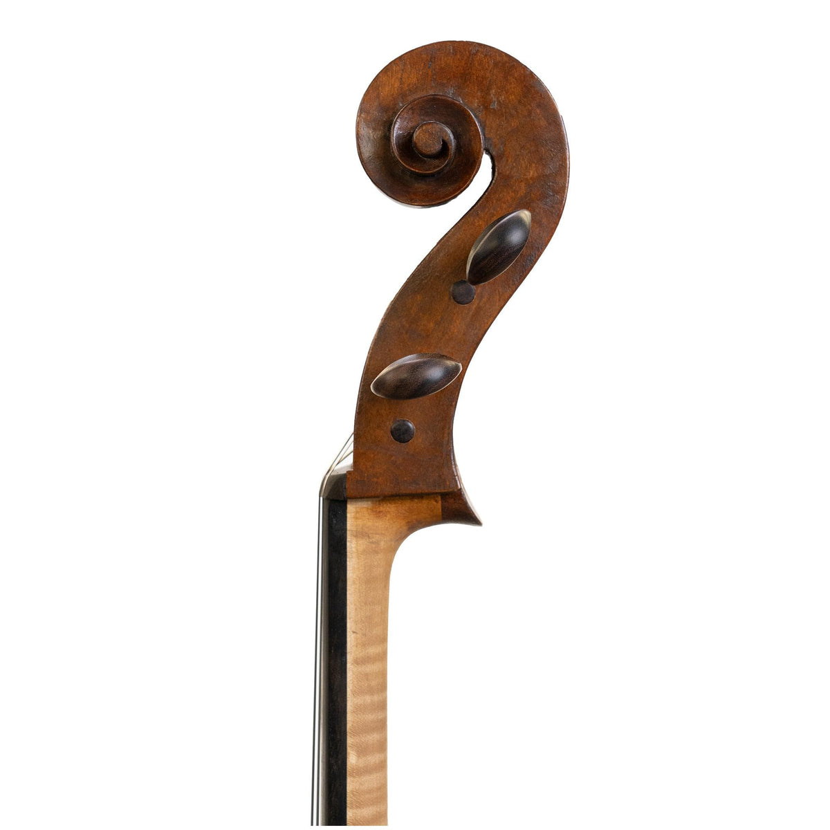 Calvin Tzeng Cello, Grand Rapids, MI 2021