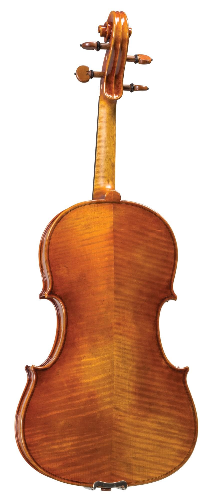 Carlo Lamberti® Tertis Viola