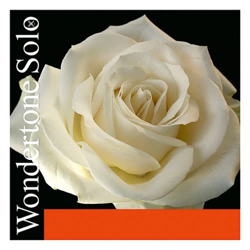 Pirastro Wondertone Solo Violin String Set - 4/4 Size - Medium Gauge -