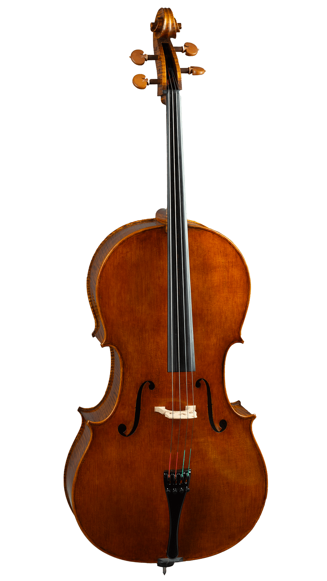 Stefano Trabucchi Cello, Cremona, 2019