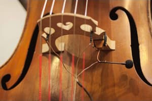 HP Lutherie Pickup System for Bass