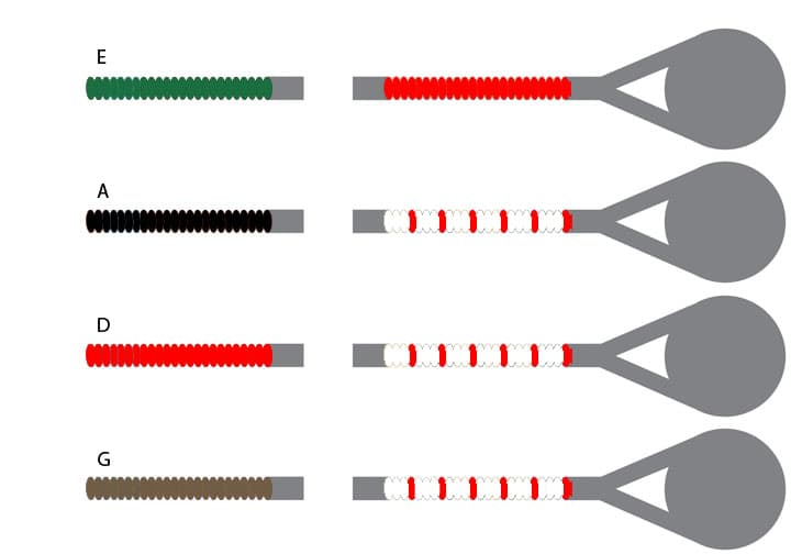 Pirastro Tonica Violin String Set - Silvery Steel E - 4/4 Size - Medium Gauge - Ball End