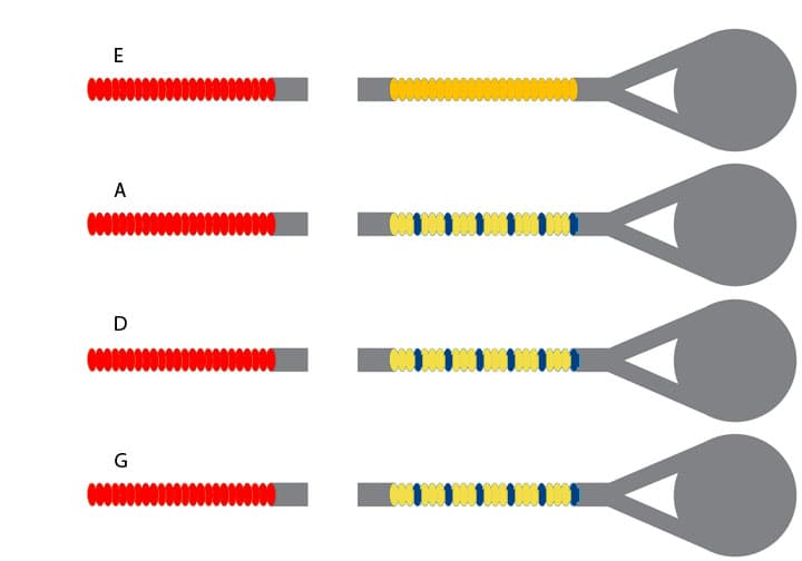 Larsen Violin String Set - 4/4 size - Medium Gauge - Gold E - Silver D