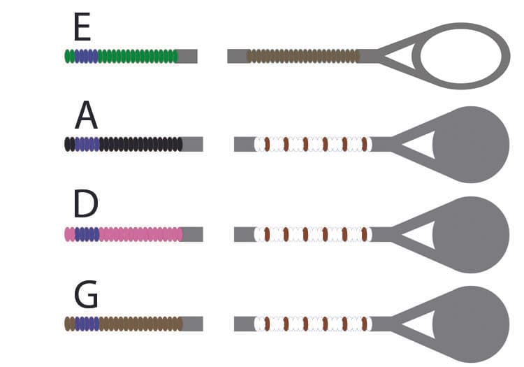Pirastro Passione Solo Violin String Set - 4/4 Size - Medium Gauge - Loop End