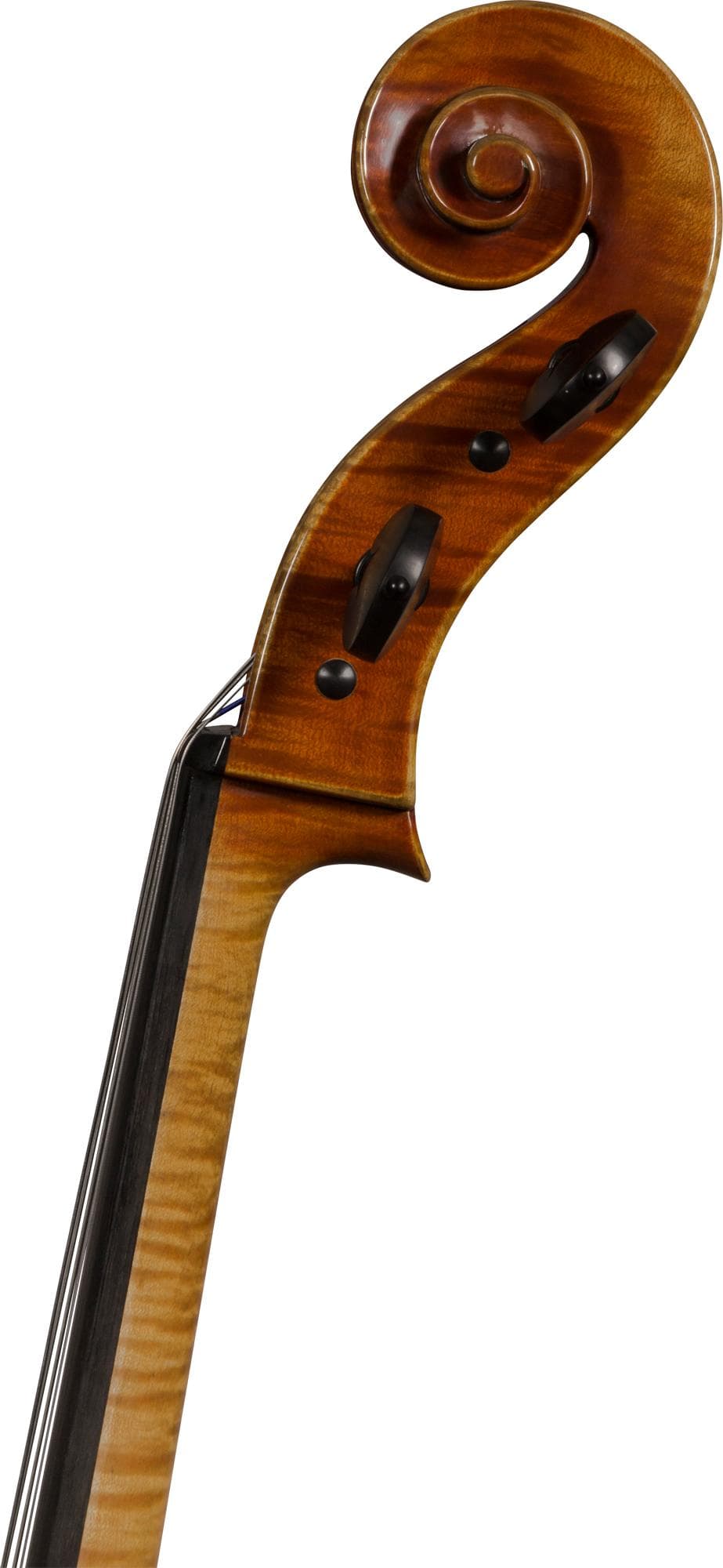 Giorgio Grisales "Garimberti" Cello, Cremona, 2017