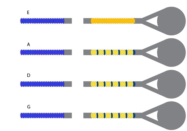 Larsen Virtuoso Violin String Set Ball Forte