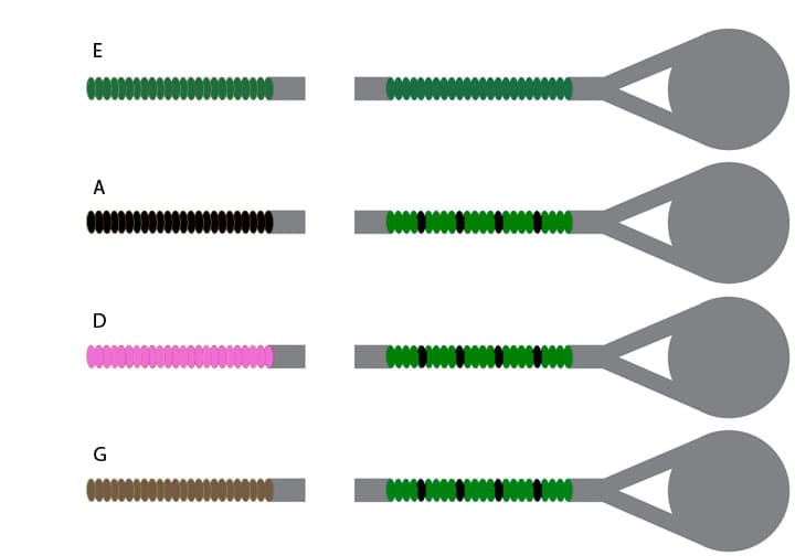Pirastro Evah Pirazzi Violin String Set - Goldsteel E - 4/4 Size - Medium Gauge - Ball End