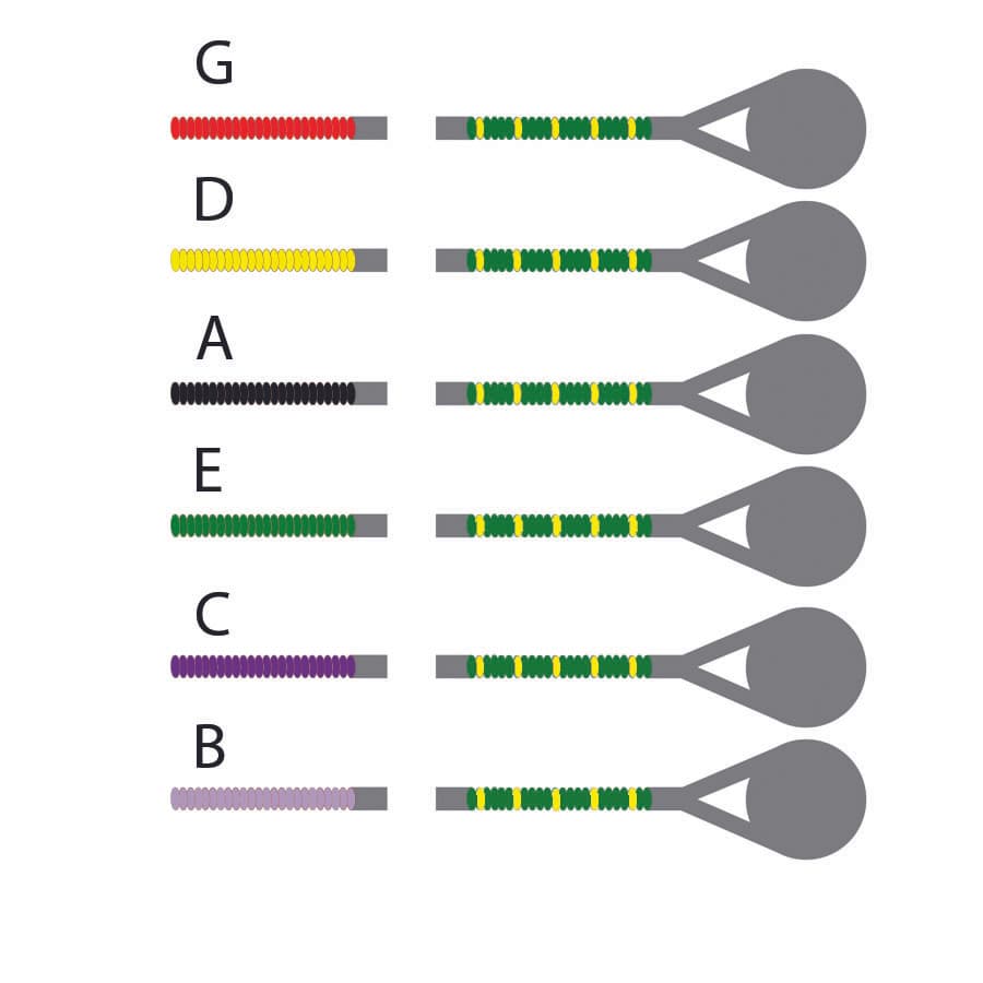 D'Addario Helicore Double Bass Hybrid String Set - 3/4 Size