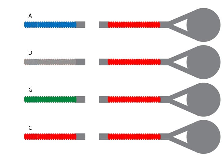 Super-Sensitive Red Label Cello String Set - 4/4 Size - Medium Gauge