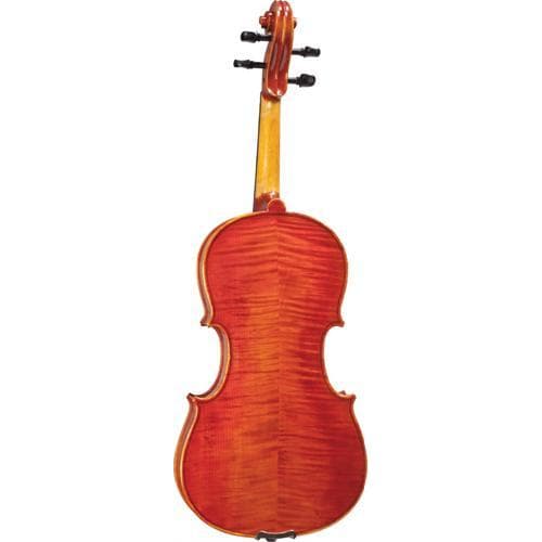 Blemished Hoffmann Concert Viola