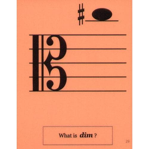 Laminated Viola Flash Cards - 32 Flashcard Set