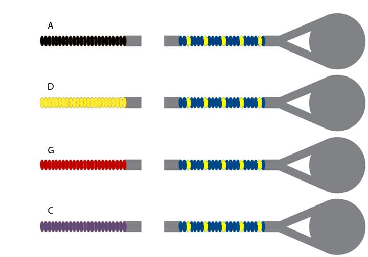 D'Addario Helicore Viola String Set Medium Gauge Long Scale 16-17