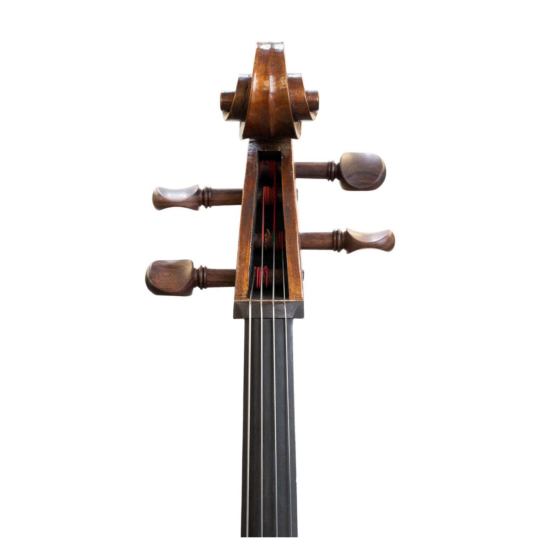 Calvin Tzeng Cello, Grand Rapids, MI 2021