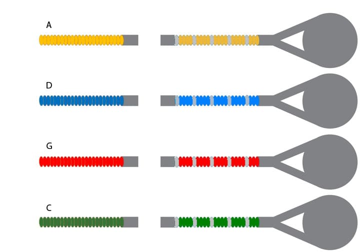 Overture Ultra Cello String Set 3/4 Size