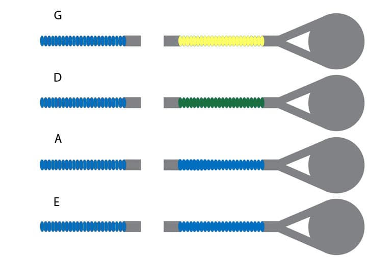 Thomastik Infeld Blue Violin String Set - Medium Gauge - Ball End E
