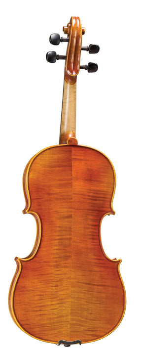 Blemished Hoffmann Concert Viola