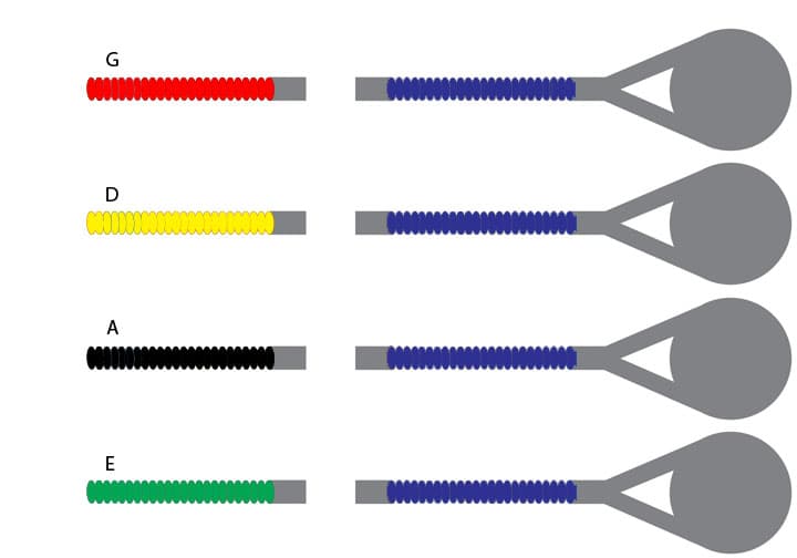 D'Addario Prelude Bass String Set 3/4 Size Medium