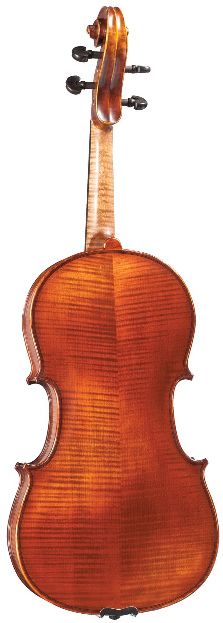 Otto Ernst Fischer® Bianca Viola