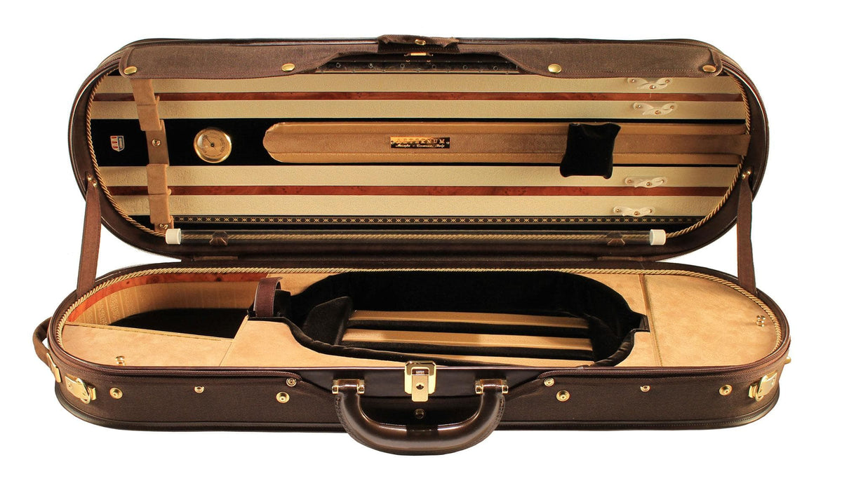 Aeternum Aureum Violin Case