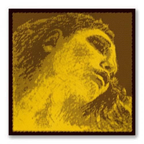 Pirastro Evah Pirazzi Gold Violin String Set - Gold G - 4/4 Size - Medium Gauge - Loop End